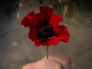 Soldier holds poppy for Remembrance. Photographer: CPL REBECCA BROWN / MoD Crown Copyright