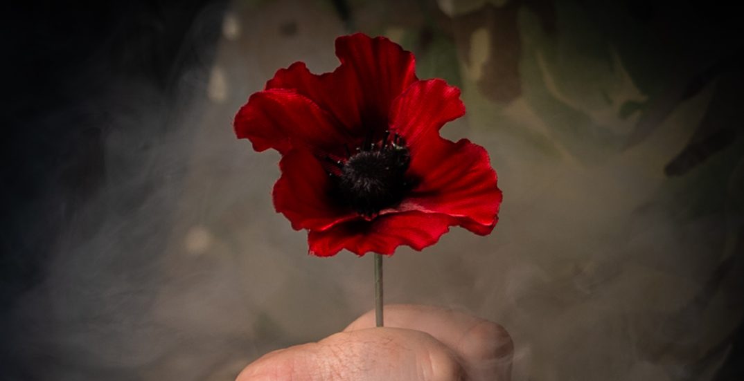 Soldier holds poppy for Remembrance. Photographer: CPL REBECCA BROWN / MoD Crown Copyright